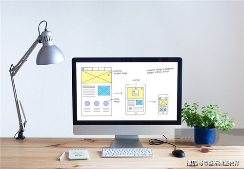 計算機軟件考試報名指南與合格標準解析