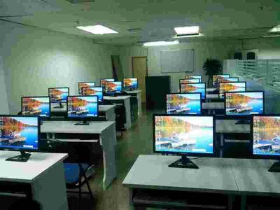 引領(lǐng)數(shù)字未來 我們的軟件服務(wù)如何助力企業(yè)創(chuàng)新與增長